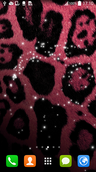 Scarica gratis sfondi animati Cheetah by Live mongoose per telefoni di Android e tablet.