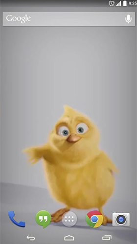 Scaricare Chickens — sfondi animati gratuiti per l'Android su un Desktop. 