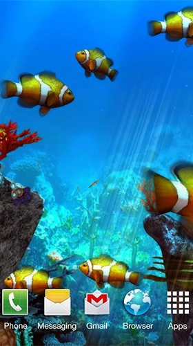 Scaricare Clownfish aquarium 3D — sfondi animati gratuiti per l'Android su un Desktop. 