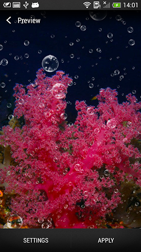 Coral reef - scaricare Paesaggio sfondi animati per Android di cellulare gratuitamente.
