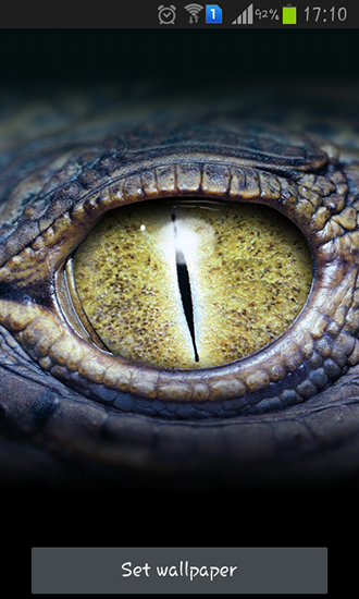 Crocodile eyes - scaricare sfondi animati per Android 2.1 di cellulare gratuitamente.