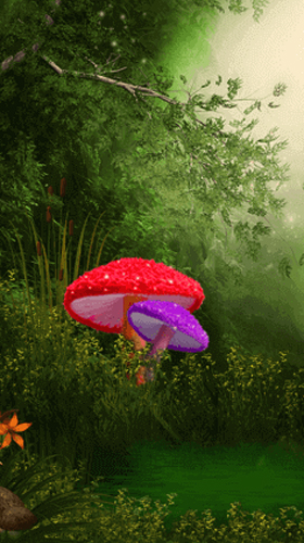Scaricare Cute mushroom — sfondi animati gratuiti per l'Android su un Desktop. 