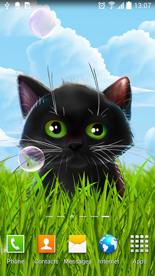 Cute kitten - scaricare sfondi animati per Android 4.0.4 di cellulare gratuitamente.