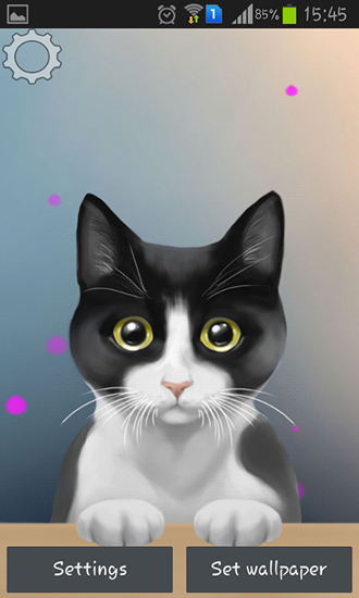 Scarica gratis sfondi animati Cute kitty per telefoni di Android e tablet.