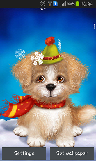 Scarica gratis sfondi animati Cute puppy per telefoni di Android e tablet.