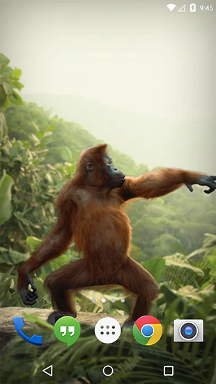 Dancing monkey - scaricare sfondi animati per Android 4.4.4 di cellulare gratuitamente.