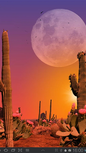 Scaricare Desert — sfondi animati gratuiti per l'Android su un Desktop. 