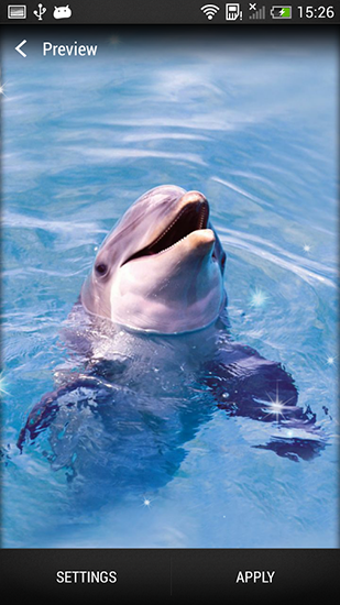 Dolphin - scaricare Animali sfondi animati per Android di cellulare gratuitamente.