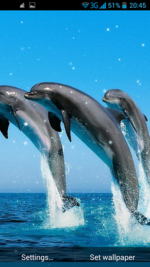 Scarica gratis sfondi animati Dolphin 3D per telefoni di Android e tablet.