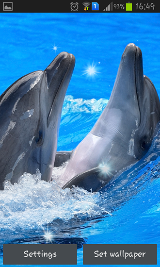 Dolphins - scaricare sfondi animati per Android 5.0 di cellulare gratuitamente.