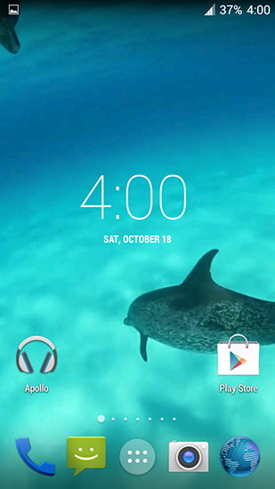 Dolphins HD - scaricare sfondi animati per Android 2.0 di cellulare gratuitamente.