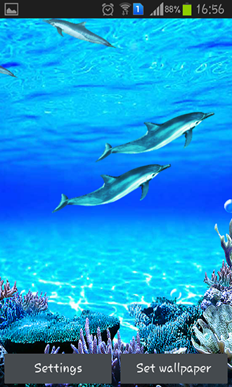 Scarica gratis sfondi animati Dolphins sounds per telefoni di Android e tablet.