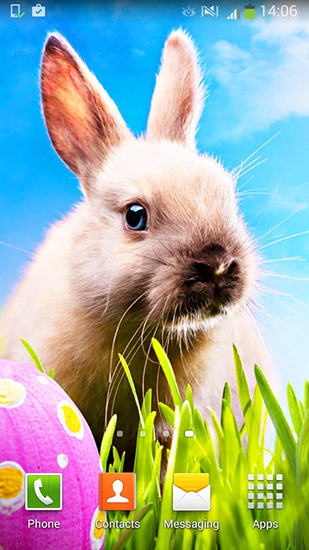 Easter - scaricare Animali sfondi animati per Android di cellulare gratuitamente.
