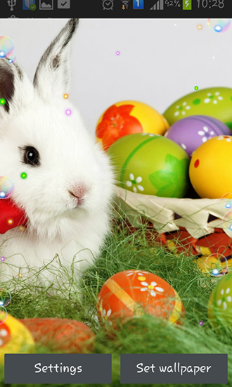 Scarica gratis sfondi animati Easter bunnies 2015 per telefoni di Android e tablet.
