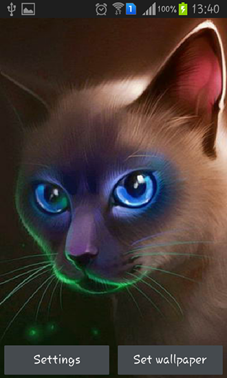 Egyptian cat - scaricare Animali sfondi animati per Android di cellulare gratuitamente.