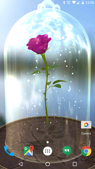 Scaricare Enchanted Rose — sfondi animati gratuiti per l'Android su un Desktop. 