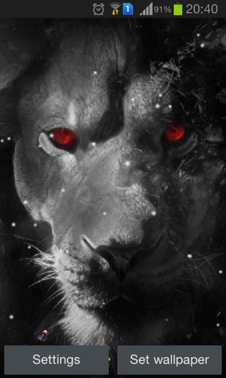 Eyes lion - scaricare Animali sfondi animati per Android di cellulare gratuitamente.