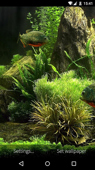 Scarica gratis sfondi animati Fish aquarium 3D per telefoni di Android e tablet.