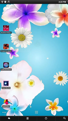 Scaricare Flowers by PanSoft — sfondi animati gratuiti per l'Android su un Desktop. 