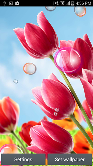 Flowers 2015 - scaricare Fiori sfondi animati per Android di cellulare gratuitamente.