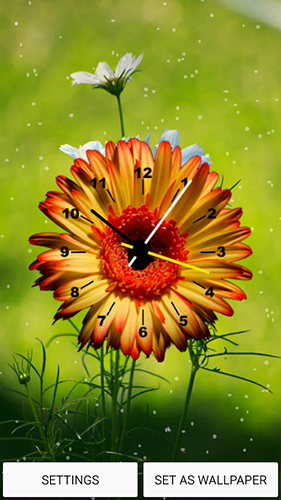 Scarica gratis sfondi animati Flowers clock per telefoni di Android e tablet.