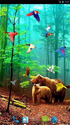 Scaricare Forest birds — sfondi animati gratuiti per l'Android su un Desktop. 