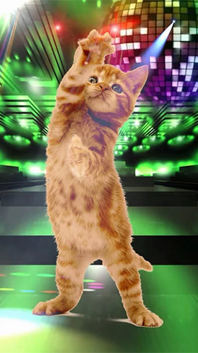 Scaricare Funny pets: dancing and singing — sfondi animati gratuiti per l'Android su un Desktop. 
