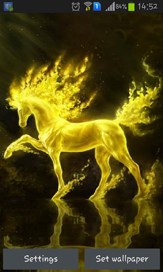 Golden horse - scaricare Animali sfondi animati per Android di cellulare gratuitamente.