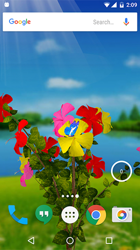 Scaricare Hibiscus 3D — sfondi animati gratuiti per l'Android su un Desktop. 