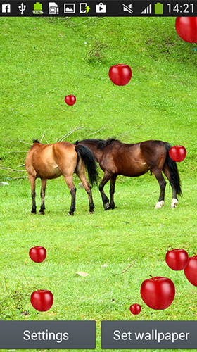 Scaricare Horses by Latest Live Wallpapers — sfondi animati gratuiti per l'Android su un Desktop. 