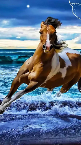 Scaricare Horses by Pro Live Wallpapers — sfondi animati gratuiti per l'Android su un Desktop. 