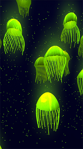 Scaricare Jellyfish 3D by Womcd — sfondi animati gratuiti per l'Android su un Desktop. 