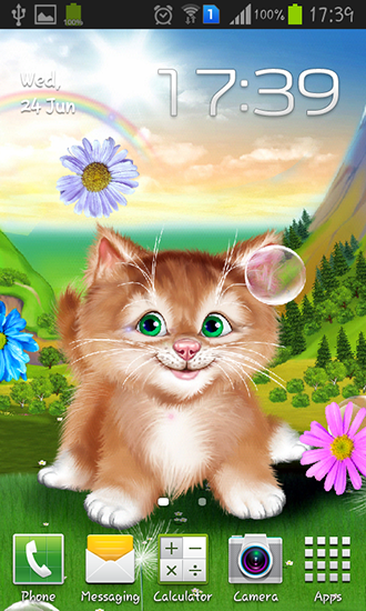 Kitten - scaricare sfondi animati per Android 4.1.2 di cellulare gratuitamente.