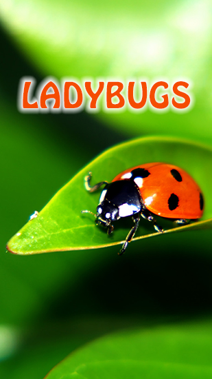 Scarica gratis sfondi animati Ladybugs per telefoni di Android e tablet.