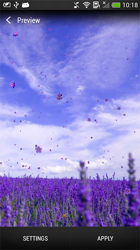 Scaricare Lavender — sfondi animati gratuiti per l'Android su un Desktop. 