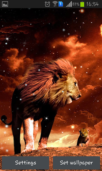 Lion - scaricare Animali sfondi animati per Android di cellulare gratuitamente.