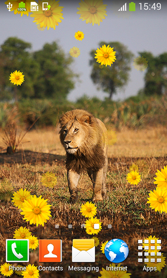 Lion by Live Wallpapers Free - scaricare Animali sfondi animati per Android di cellulare gratuitamente.
