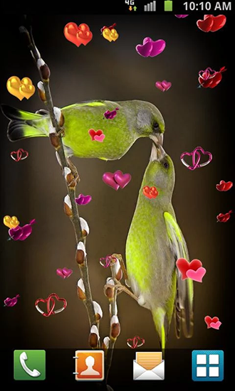 Scarica gratis sfondi animati Love: Birds per telefoni di Android e tablet.