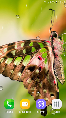 Scaricare Macro butterflies — sfondi animati gratuiti per l'Android su un Desktop. 