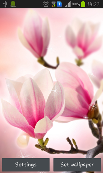Magnolia - scaricare Fiori sfondi animati per Android di cellulare gratuitamente.