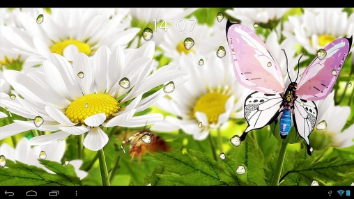 My flower - scaricare sfondi animati per Android 5.0.2 di cellulare gratuitamente.