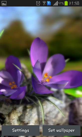 Scarica gratis sfondi animati Nature live: Spring flowers 3D per telefoni di Android e tablet.