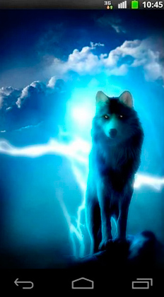 Night wolves - scaricare Animali sfondi animati per Android di cellulare gratuitamente.