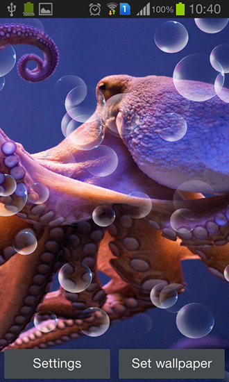 Scarica gratis sfondi animati Octopus per telefoni di Android e tablet.