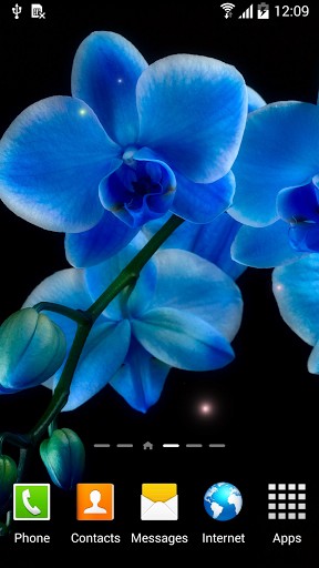 Orchids - scaricare Fiori sfondi animati per Android di cellulare gratuitamente.