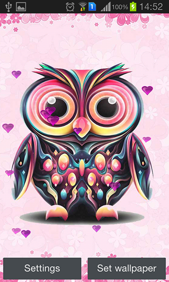 Owl - scaricare Animali sfondi animati per Android di cellulare gratuitamente.