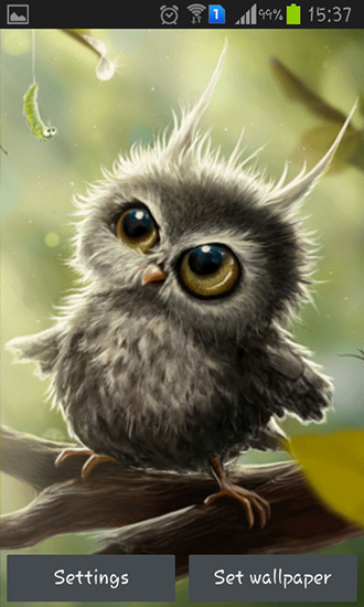 Owl chick - scaricare sfondi animati per Android 4.4 di cellulare gratuitamente.