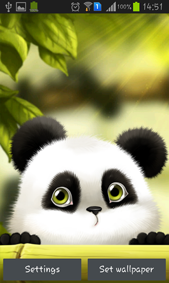 Scarica gratis sfondi animati Panda per telefoni di Android e tablet.