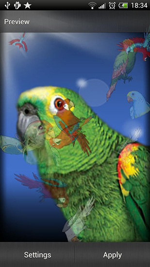 Parrot - scaricare sfondi animati per Android 5.0.2 di cellulare gratuitamente.