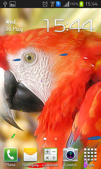 Parrot by TTR - scaricare Animali sfondi animati per Android di cellulare gratuitamente.